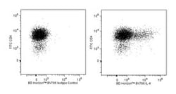 IL-4 Rat anti-Mouse, Brilliant Violet 786, Clone: 11B11, BD 50&mu;g; Brilliant
