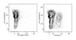 Blimp-1 Rat anti-Mouse, PE, Clone: 5E7, BD 50&mu;g; PE:Antibodies, Monoclonal