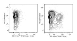Blimp-1 Rat anti-Mouse, Brilliant Violet 421, Clone: 5E7, BD 50 &mu;g | Buy Online | BD Biosciences | Fisher Scientific