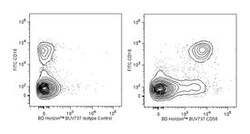 CD56 Mouse anti-Human, BUV737, Clone: NCAM16.2 (also known as NCAM 16),