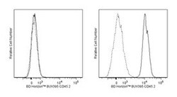 anti-CD45.2, BU395; Clone: 104; BD 50&mu;g; BU395:Antibodies, Monoclonal
