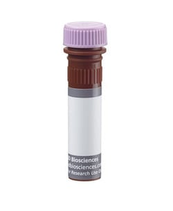 anti-CD45.2, BU395; Clone: 104; BD 50&mu;g; BU395:Antibodies, Monoclonal