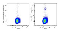 CD34 Mouse anti-Human, Biotin, Clone: 581, BD 0.1 mg | Buy Online | BD Biosciences | Fisher Scientific
