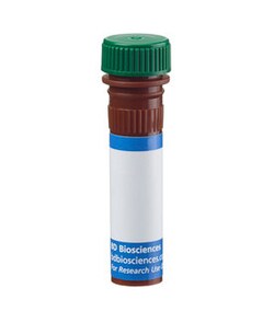 BD Biosciences&nbsp;CD122 Mouse anti-Human, BB515, Clone: Mik-&beta;3, BD