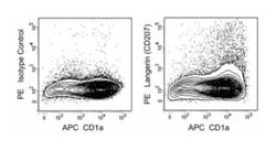Langerin (CD207) Mouse anti-Human, PE, Clone: 2G3 (also known as AB5_8.2G3.6