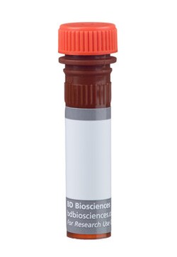 CD11c Hamster anti-Mouse, BUV737, Clone: HL3, BD 50&mu;g; BUV737:Antibodies,