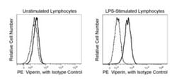 Viperin Mouse, PE, Clone: MaP.VIP, BD 50&mu;g; PE:Antibodies, Monoclonal