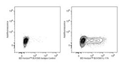 IL-17 Rat anti-Mouse, BUV395, Clone: TC11-18H10, BD 50&mu;g; BUV395:Antibodies,
