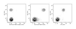CD40 Mouse anti-Human, BB515, Clone: 5C3, BD 50 Tests | Buy Online | BD Biosciences | Fisher Scientific