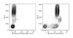 CD31 Mouse anti-Human, BUV395, Clone: WM59, BD 50 Tests; BUV395:Antibodies,