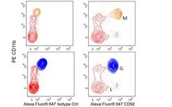 CD92 Mouse anti-Human, Alexa Fluor 647, Clone: VIM15, BD 100 Tests; Alexa