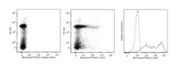 CD25 Mouse anti-Rat, Brilliant Violet 421, Clone: OX-39, BD 50&mu;g; Brilliant