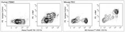 c-MAF Mouse, PE, Clone: T54-853, BD 50&mu;g; PE:Antibodies, Monoclonal