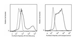 C-Peptide Mouse, Unlabeled, Clone: U8-424, BD 0.1mg; Unlabeled:Anticuerpos