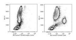 BD BV480 Maus/Anti-Human-CD64 100 Tests | Buy Online | BD | Fisher Scientific