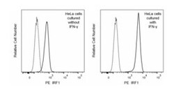 IRF1 Mouse anti-Human, PE, Clone: 20/IRF-1, BD 50&mu;g; PE:Antibodies,