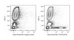 CD75/CD75s Mouse anti-Human, Alexa Fluor 647, Clone: ZB55, BD 100 Tests;