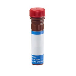 TRIF (TICAM-1) Mouse anti-Human, PE, Clone: U19-709, BD 50&mu;g; PE:Antibodies,