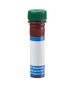 Bad Mouse, FITC, Clone: 48, BD 50 &mu;g | Buy Online | BD Biosciences | Fisher Scientific