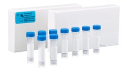 BD Akt/PKB Sampler Kit 1 kit:Antibodies