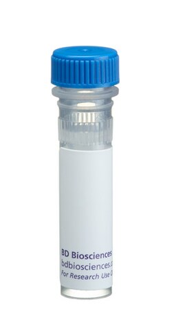 NMDAR2A (N-Methyl D-Aspartate) Mouse, Unlabeled, Clone: 5, BD 50 &mu;g | Buy Online | BD Biosciences | Fisher Scientific