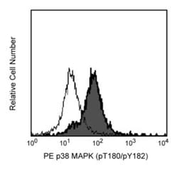 p38 MAPK Mouse, PE, Clone: 36/p38 (pT180/pY182), BD 250 Tests; PE:Antibodies,