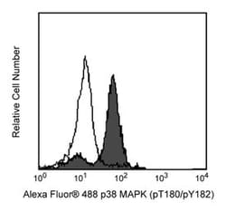 p38 MAPK (pT180/pY182) Mouse, Alexa Fluor 488, Clone: 36/P38 (PT180/PY182), BD 50 Tests | Buy Online | BD Biosciences | Fisher Scientific
