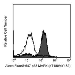 p38 MAPK (pT180/pY182) Mouse, Alexa Fluor 647, Clone: 36/P38 (PT180/PY182),