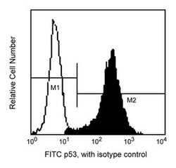 p53 with control Mouse, FITC, Clone: G59-12, BD 100 Tests; FITC:Antibodies,