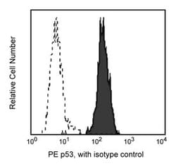 p53 with control Mouse, PE, Clone: G59-12, BD 100 Tests; PE:Antibodies,