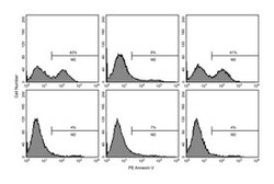 BD Caspase-3 Inhibitor, Z-DEVD-FMK Caspase-3 Inhibitor, Z-DEVD-FMK; 1mg:Custom