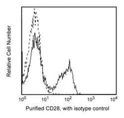 CD28 Mouse anti-Human, Unlabeled, Clone: CD28.2, BD 0.1mg; Unlabeled:Antibodies,