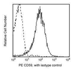 CD59 Mouse anti-Human, PE, Clone: P282 (H19), BD 50 Tests; PE:Antibodies,