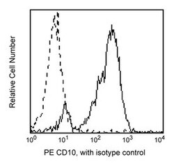 CD10 Mouse anti-Human, PE, Clone: HI10A, BD 50 Tests; PE:Antibodies, Monoclonal