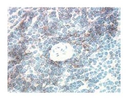 CD4 Mouse anti-Rat, Unlabeled, Clone: OX-35, BD 1 mL | Buy Online | BD Biosciences | Fisher Scientific