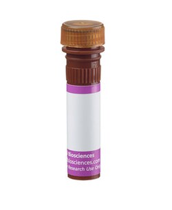 EGF Receptor Mouse anti-Human, Brilliant Violet 786, Clone: EGFR.1, BD