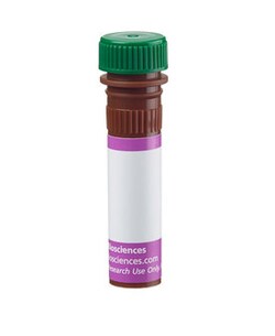 Neuropilin-1 (CD304) Mouse anti-Human, Brilliant Violet 510, Clone: U21-1283,