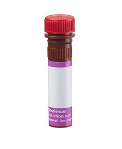 Marginal Zone B Cells Mouse Anti-Rat, Brilliant Violet 711, Clone: HIS57, BD Optibuild 50 &mu;g | Buy Online | BD Biosciences | Fisher Scientific