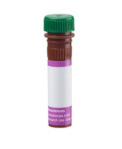 CD117 Rat anti-Mouse, Brilliant Violet 510, Clone: 2B8, BD Optibuild™