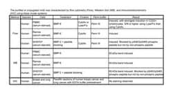 Smad1 (pS463/pS465) Rat, Unlabeled, Clone: N6-1233, BD 0.1mg; Unlabeled:Antibodies,
