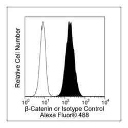 -Catenin Mouse, Alexa Fluor 488, Clone: 14/Beta-Catenin, BD 100 Tests;