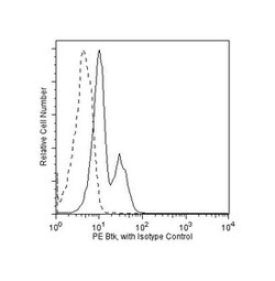 Btk Mouse anti-Human, PE, Clone: 53/BTK, BD 50 Tests; PE:Antibodies, Monoclonal