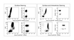CD222 Mouse anti-Human, Alexa Fluor 647, Clone: MEM-238, BD 25&mu;g; Alexa