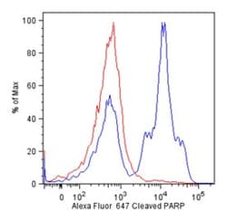 PARP (Asp 214) Mouse, Alexa Fluor 647, Clone: F21-852, BD 100 Tests; Alexa