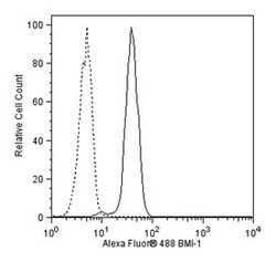 BMI-1 Mouse anti-Human, Alexa Fluor 488, Clone: P51-311, BD 50 Tests; Alexa