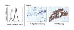 CD344 Mouse anti-Human, Unlabeled, Clone: CH3A4A7, BD 0.1mg; Unlabeled:Antibodies,
