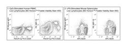 XBP-1S Mouse, PE, Clone: Q3-695, BD 50 Tests; PE:Antibodies, Monoclonal