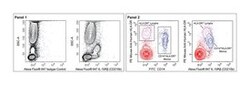 anti-IL-10Rbeta (CD210b), Alexa Fluor 647; Clone: 90220; BD 50 Tests; Alexa