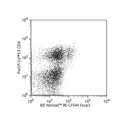 FoxP3 Rat anti-Mouse, PE-CF594, Clone: MF23, BD 50 &mu;g | Buy Online | BD Biosciences | Fisher Scientific