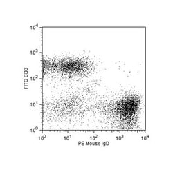 IgD Rat anti-Mouse, PE, Clone: 11-26C.2A, BD 0.1mg; PE:Antibodies, Monoclonal